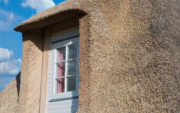New Zealand thatch roof disadvantages